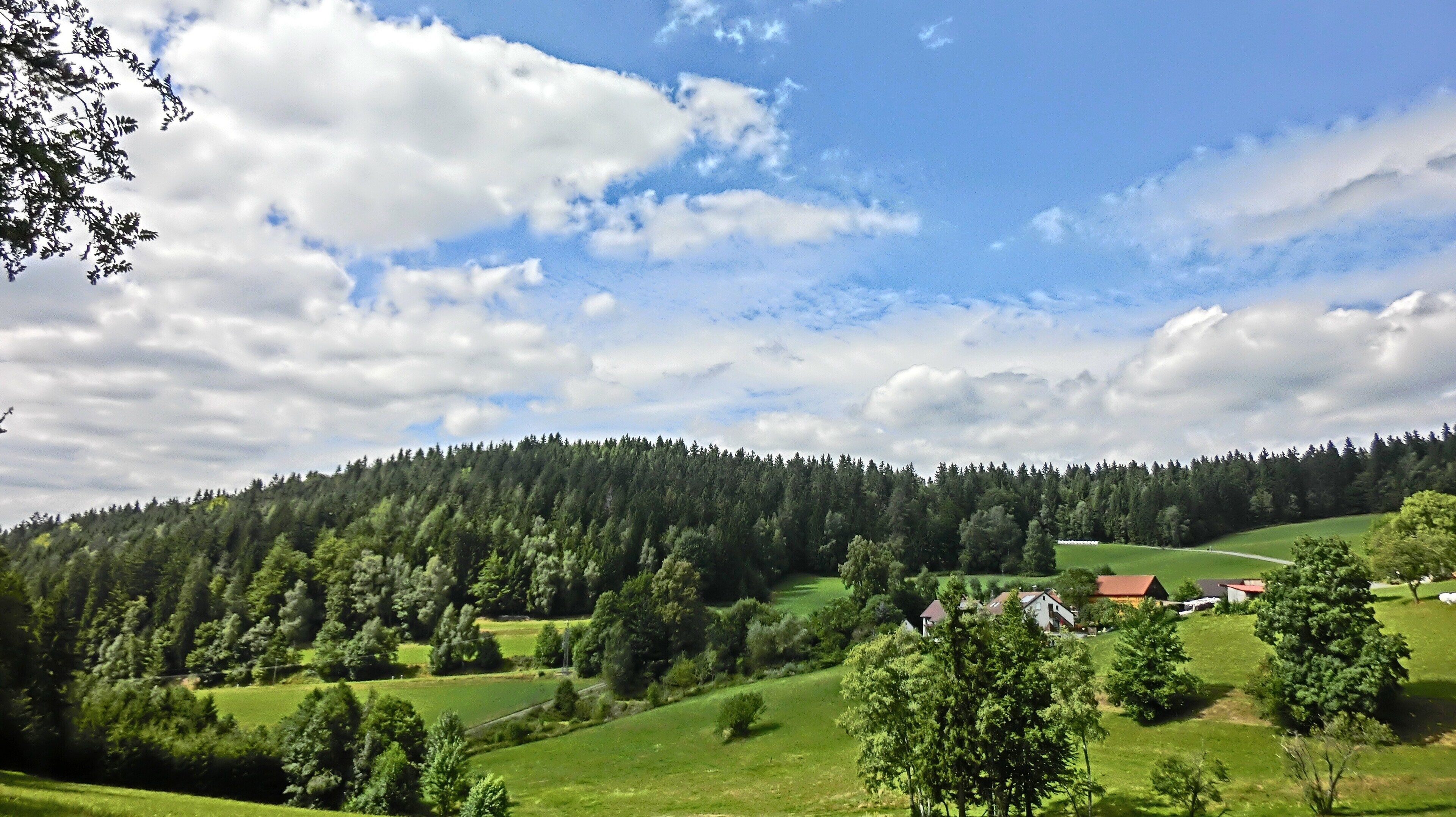 A lush green valley with a dense forested hill, scattered houses, and a clear blue sky with clouds.