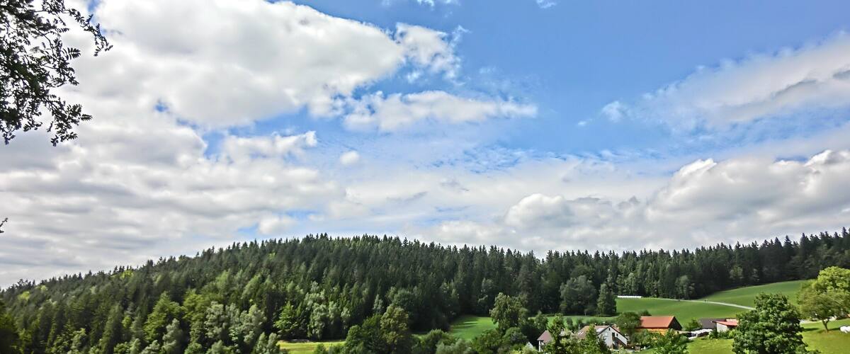 A lush green valley with a dense forested hill, scattered houses, and a clear blue sky with clouds.