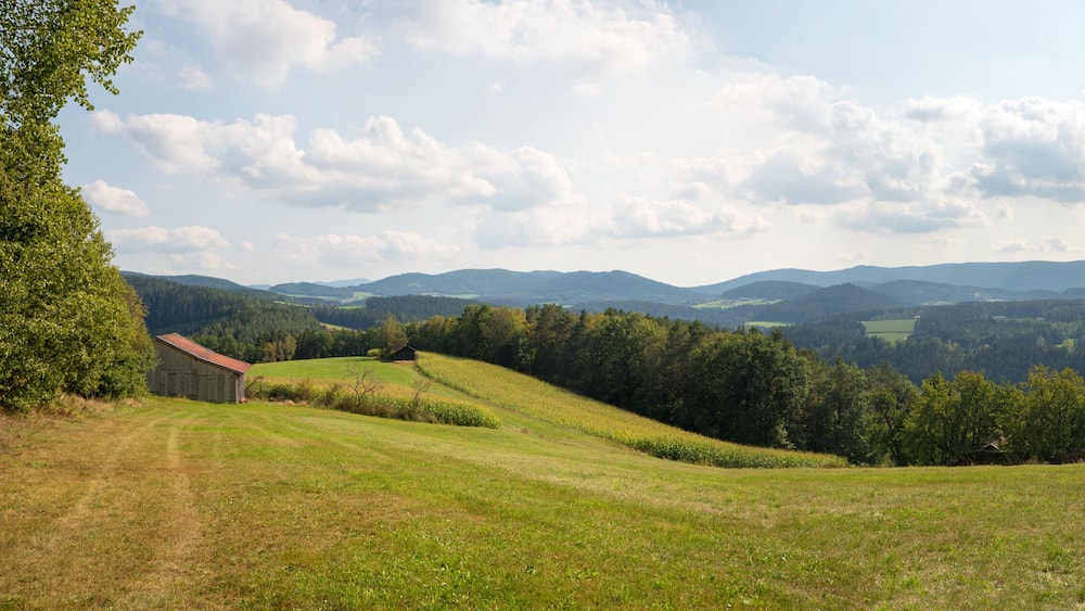 rural landscape Bayerischer Wald, green pasture and huts, lower bavaria