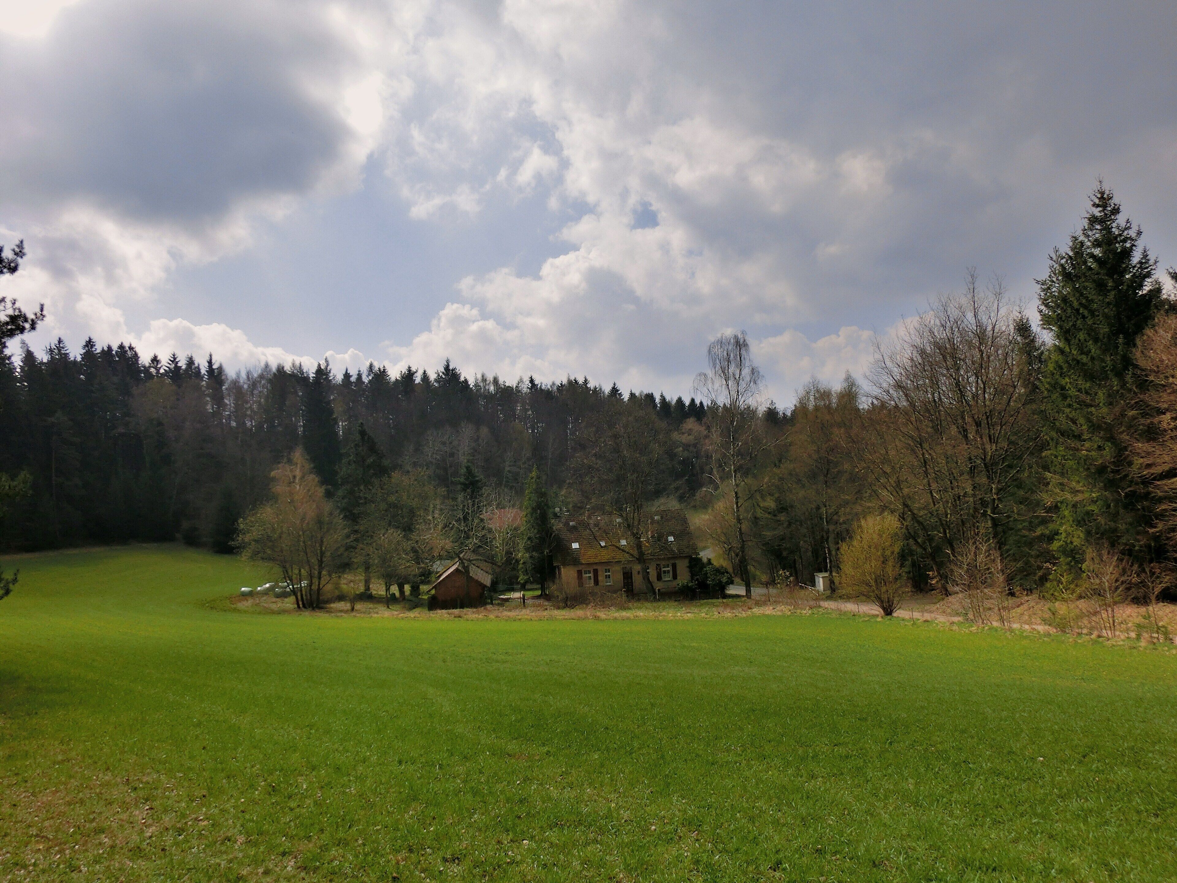 A green field with a house and trees in the background.