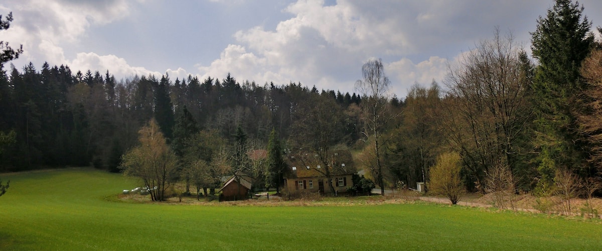 A green field with a house and trees in the background.