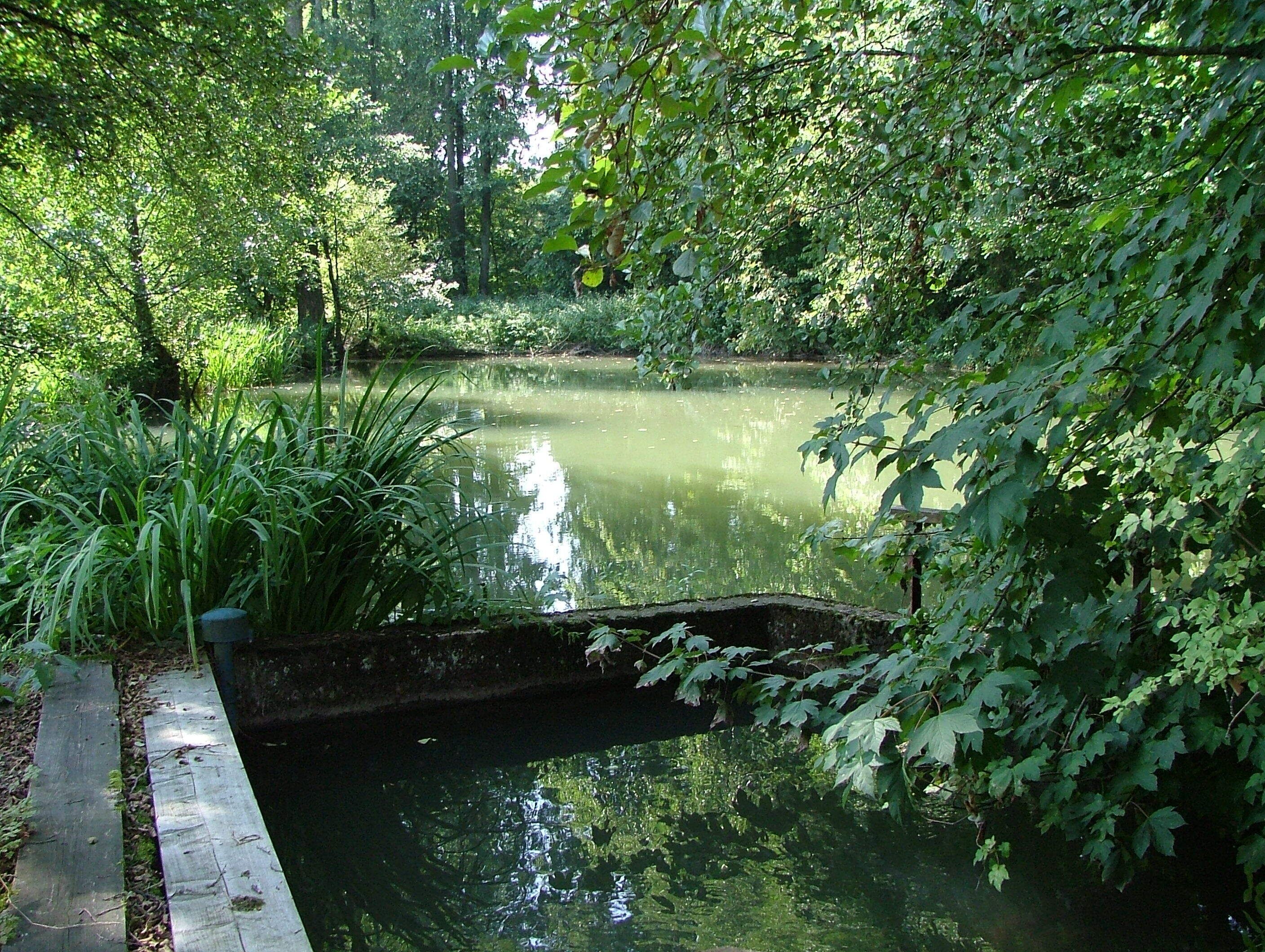 Mühlenweiher