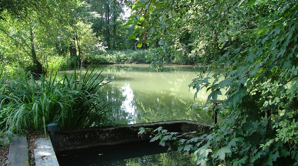 Mühlenweiher