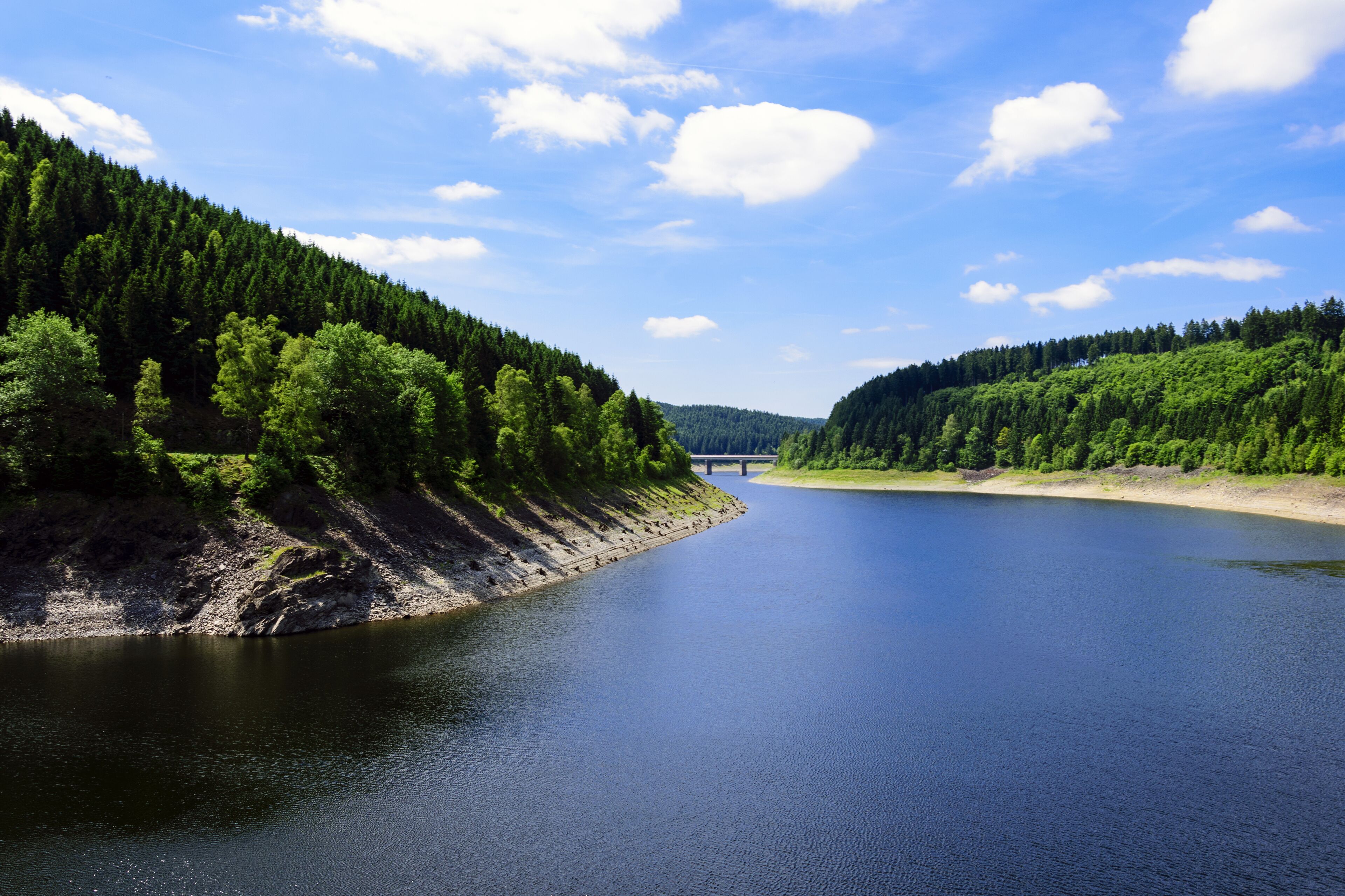 A river flanked by dense forests and a bridge in the distance.