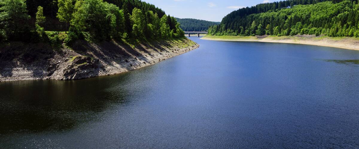 A river flanked by dense forests and a bridge in the distance.