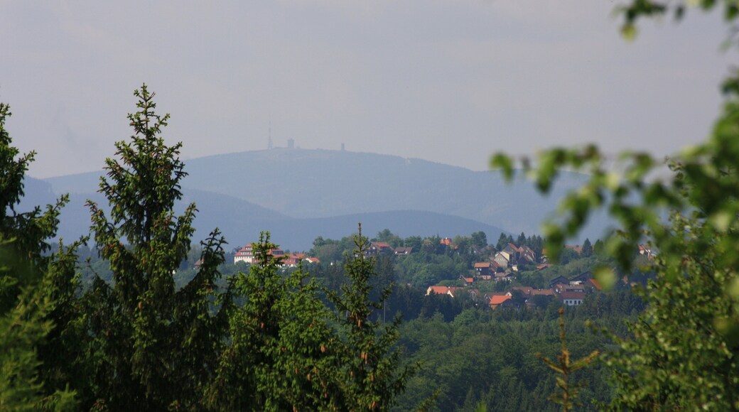 Süd Harz Wanderung um Sülzhayn - Auf dem Kammweg - Brockenblicik über Hohen Geiß