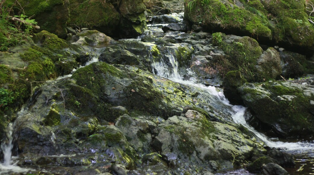 Wanderung Harz - Rund um Zorge - Sprakelbach