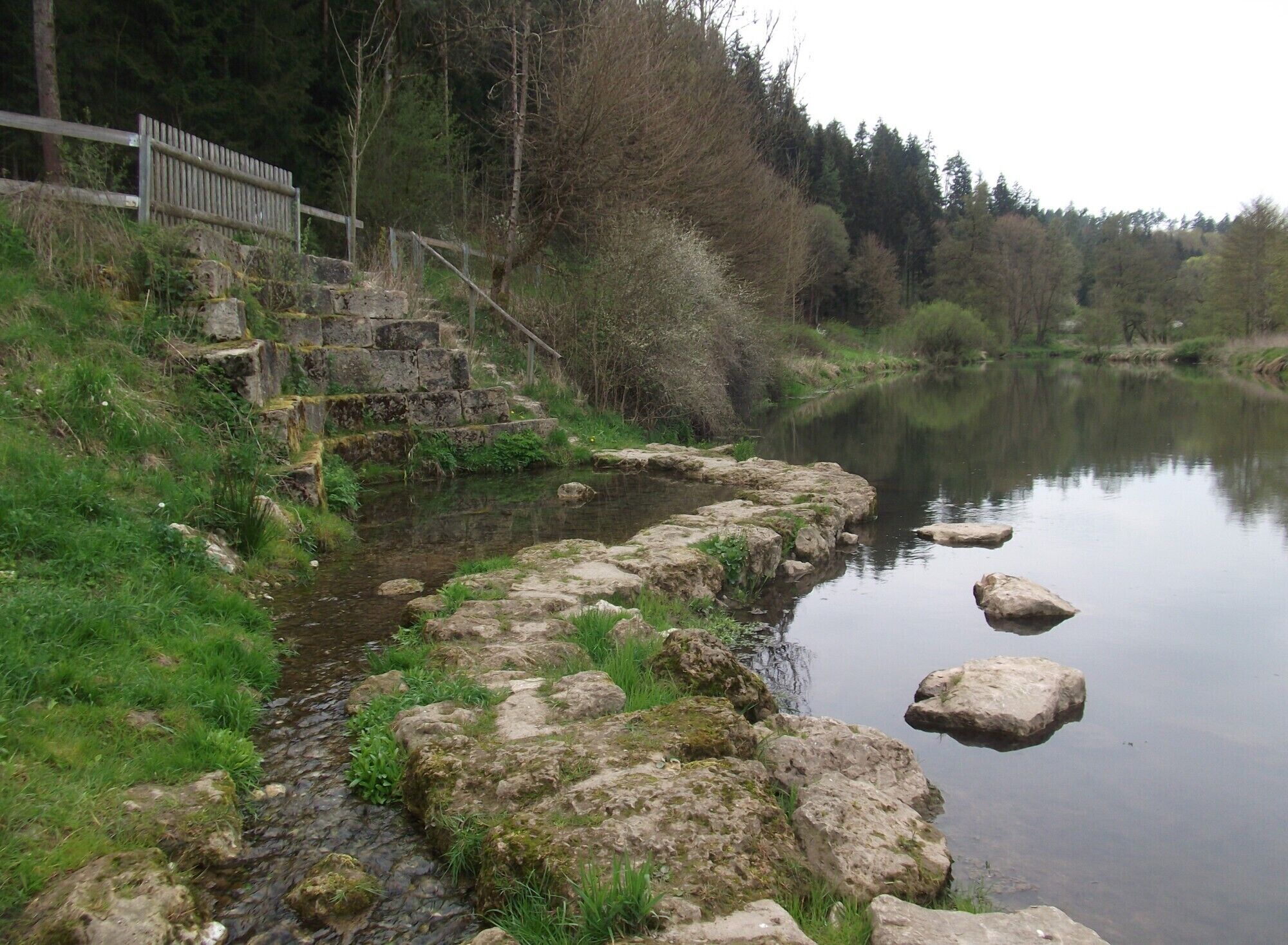 Der Rammertsbrunn begegnet der Vils