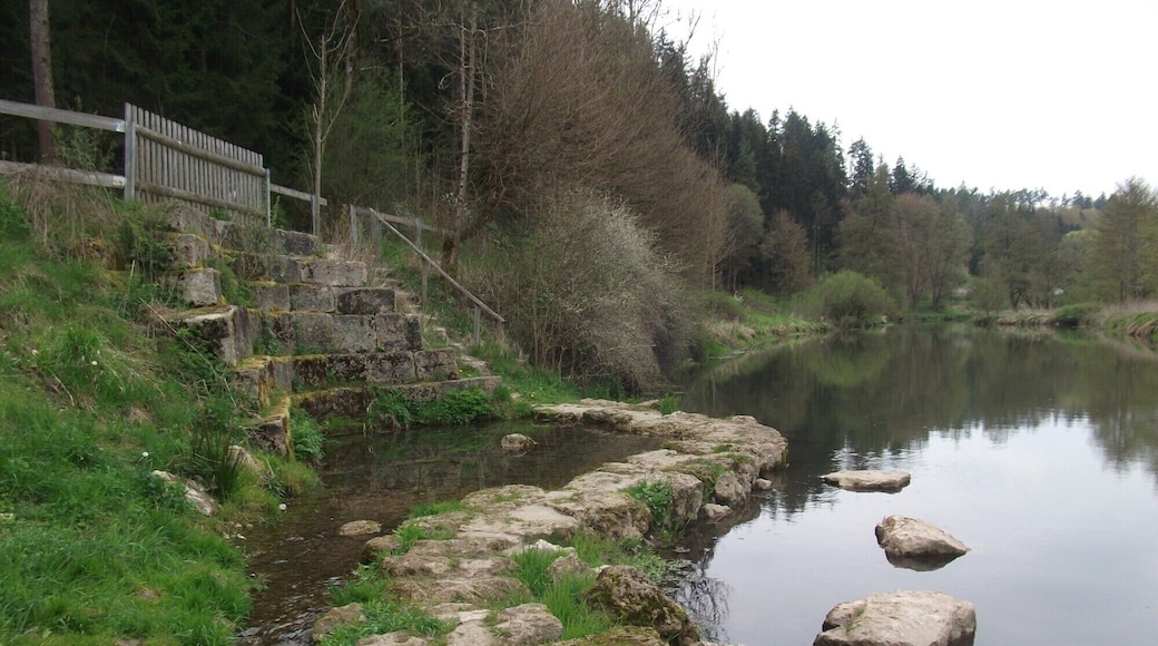 Der Rammertsbrunn begegnet der Vils