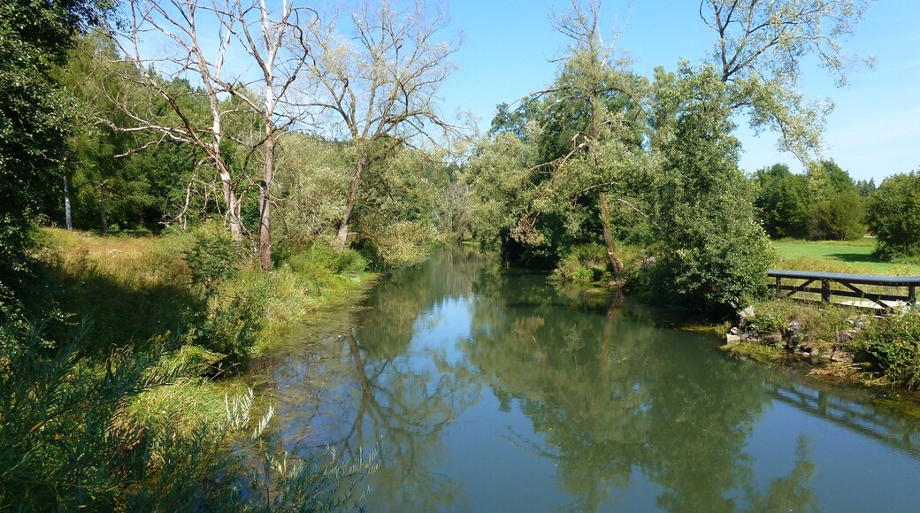 River Vils near Ensdorf, Bavaria, Germany