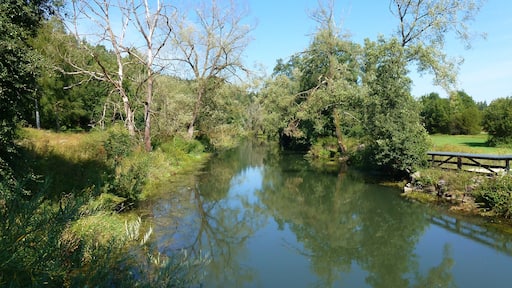 River Vils near Ensdorf, Bavaria, Germany