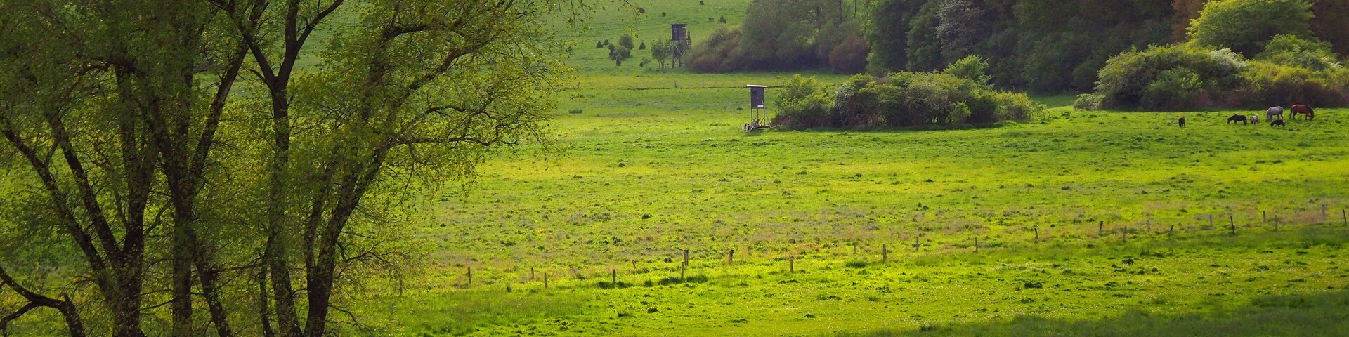 Landschaft bei Ahrensbök