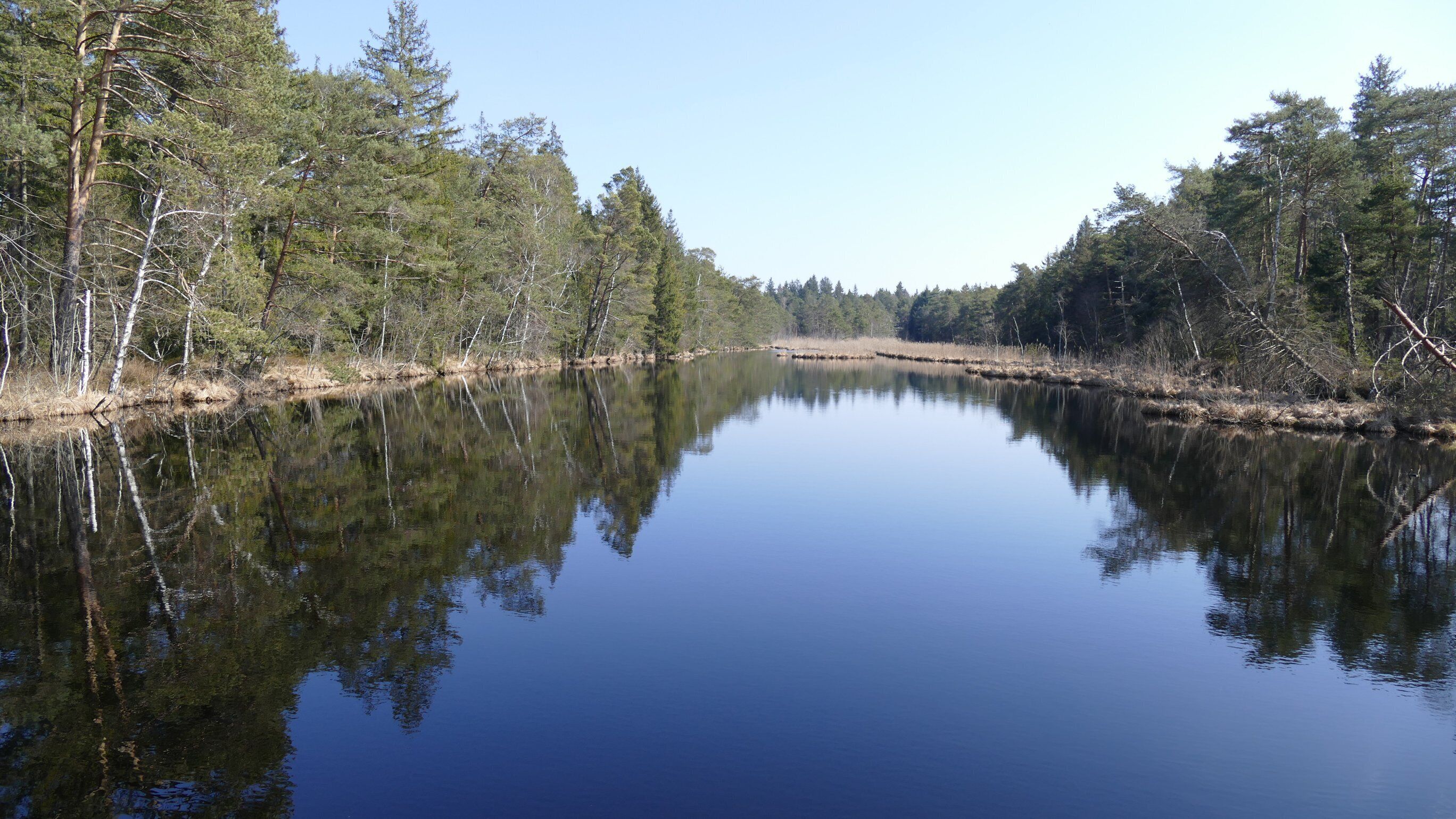 Entenweiher im Rotter Forst, Bayern