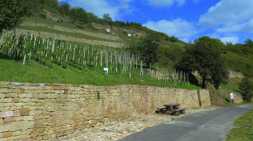 Weinbergterrassen- und Orchideenpfad zwischen Bad Sobernheim und Staudernheim