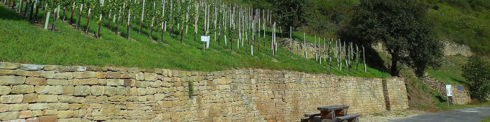 Weinbergterrassen- und Orchideenpfad zwischen Bad Sobernheim und Staudernheim