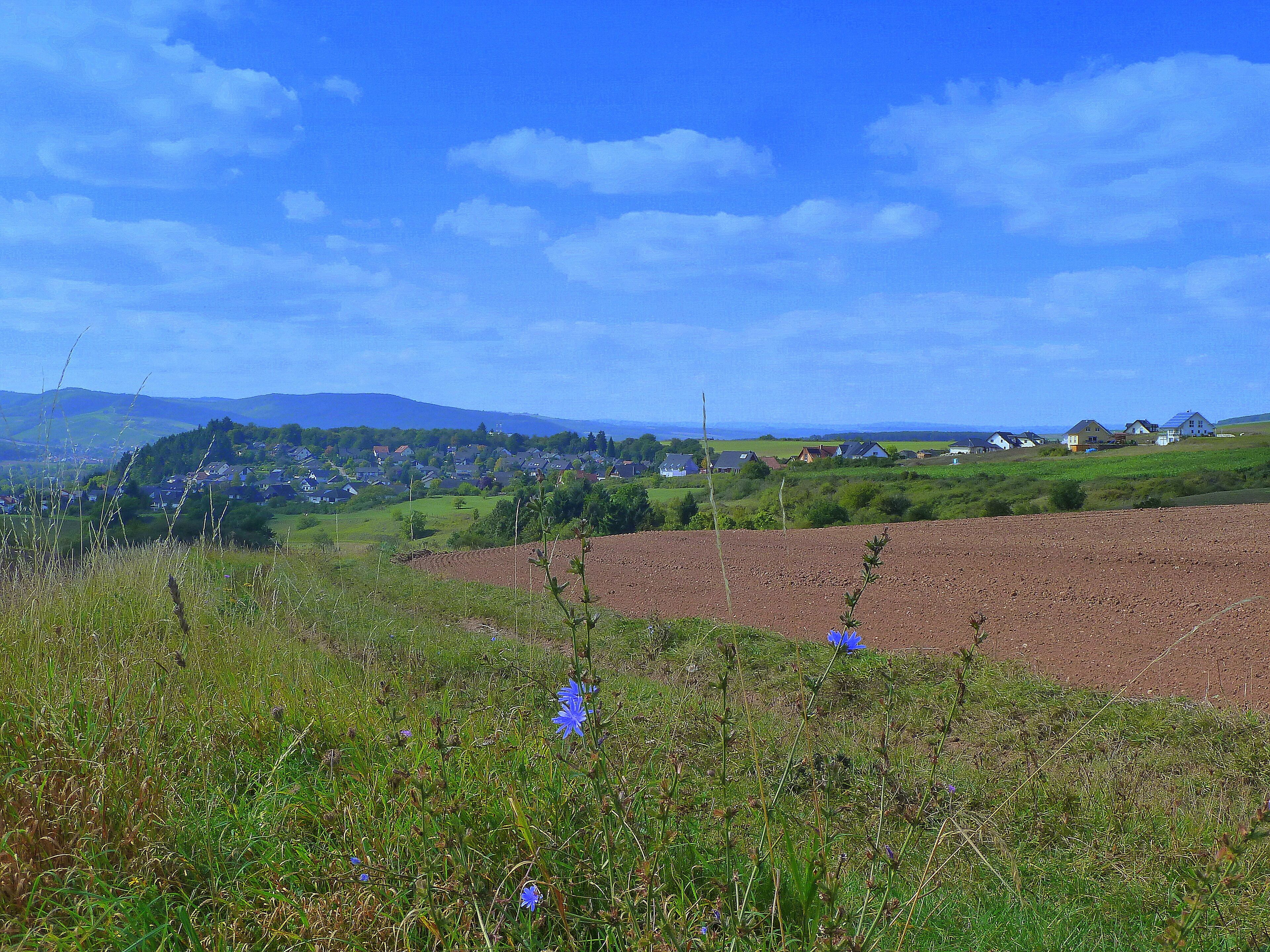 Bad Sobernheim-Leinenborn
