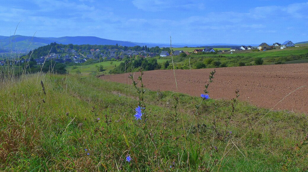 Bad Sobernheim-Leinenborn