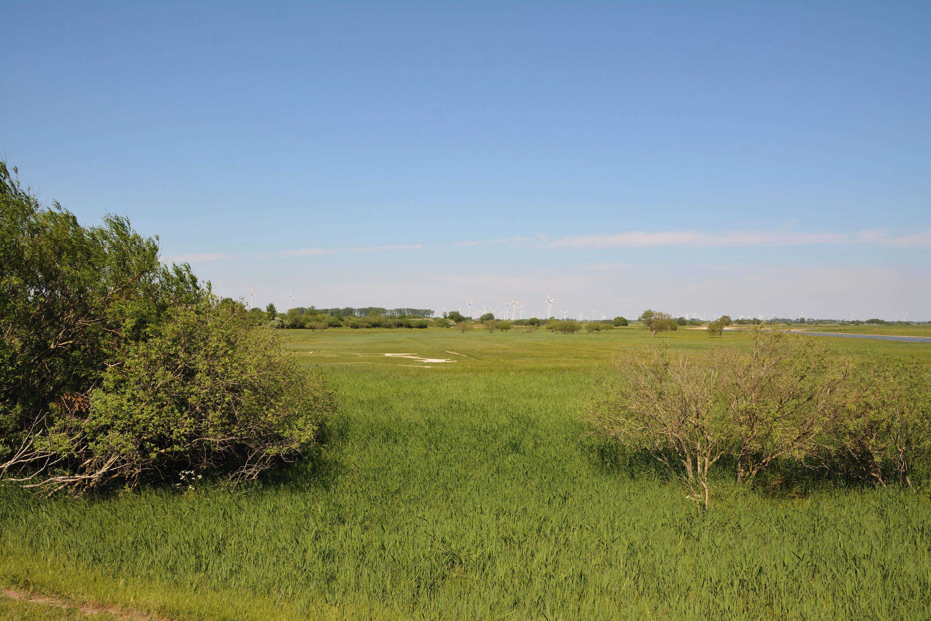 This is a picture of the protected area listed at WDPA under the ID