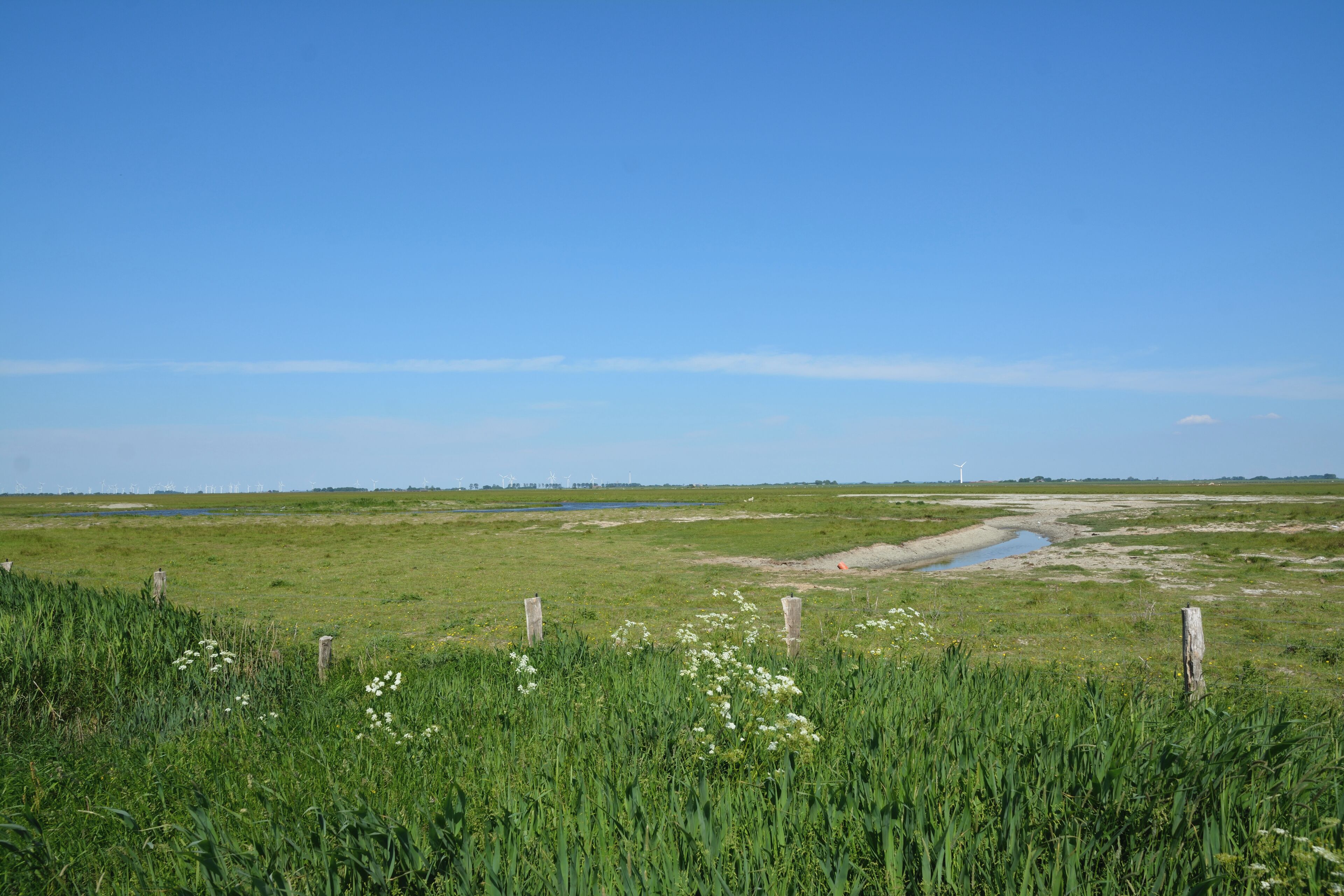 This is a picture of the protected area listed at WDPA under the ID