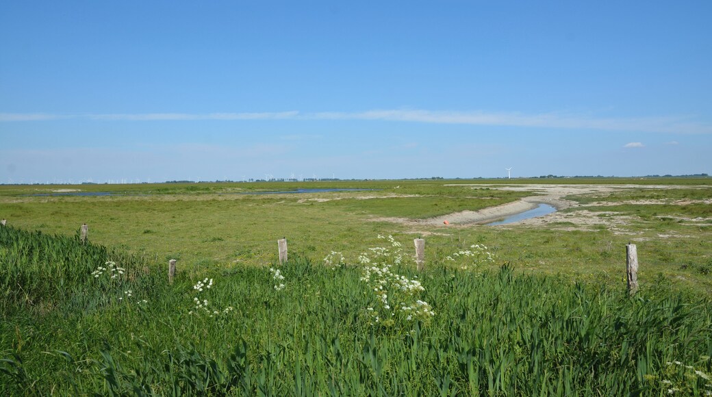 This is a picture of the protected area listed at WDPA under the ID