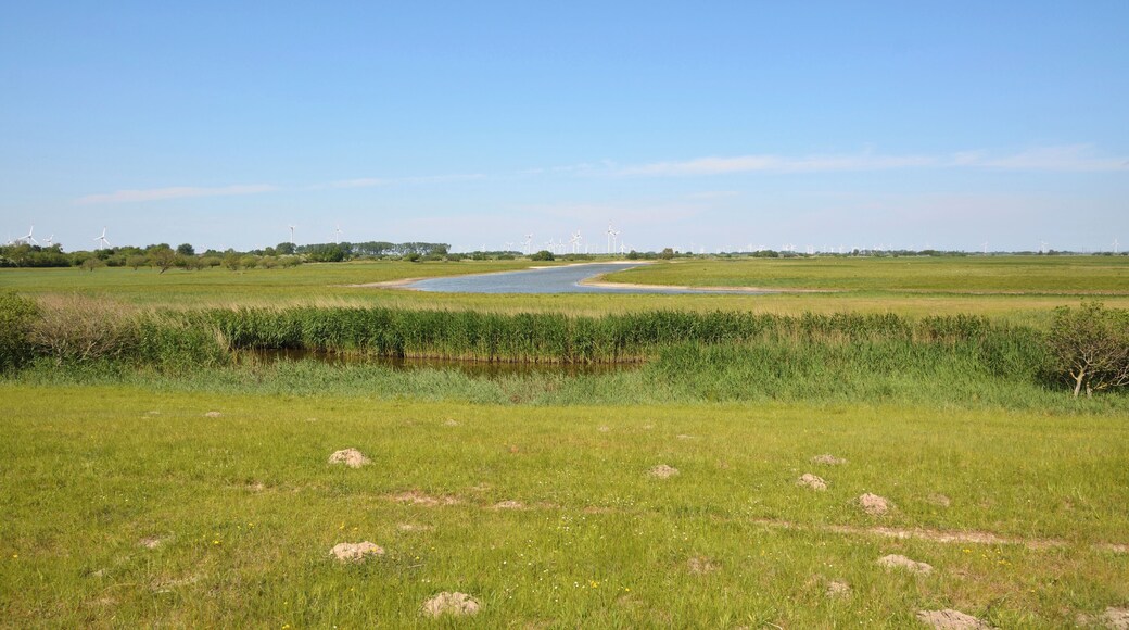 This is a picture of the protected area listed at WDPA under the ID