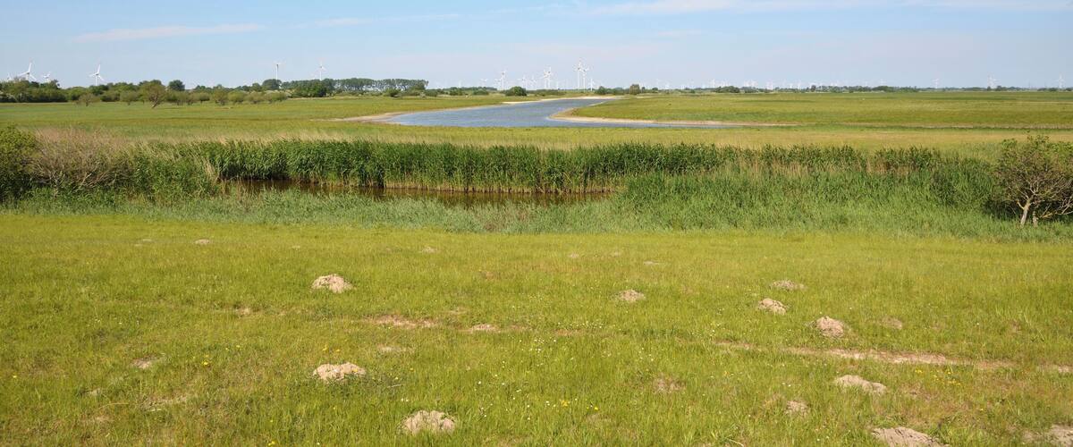 This is a picture of the protected area listed at WDPA under the ID