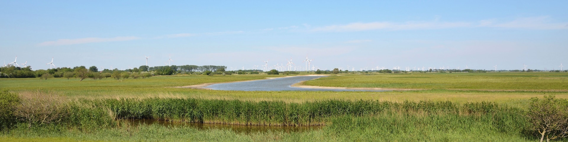 This is a picture of the protected area listed at WDPA under the ID