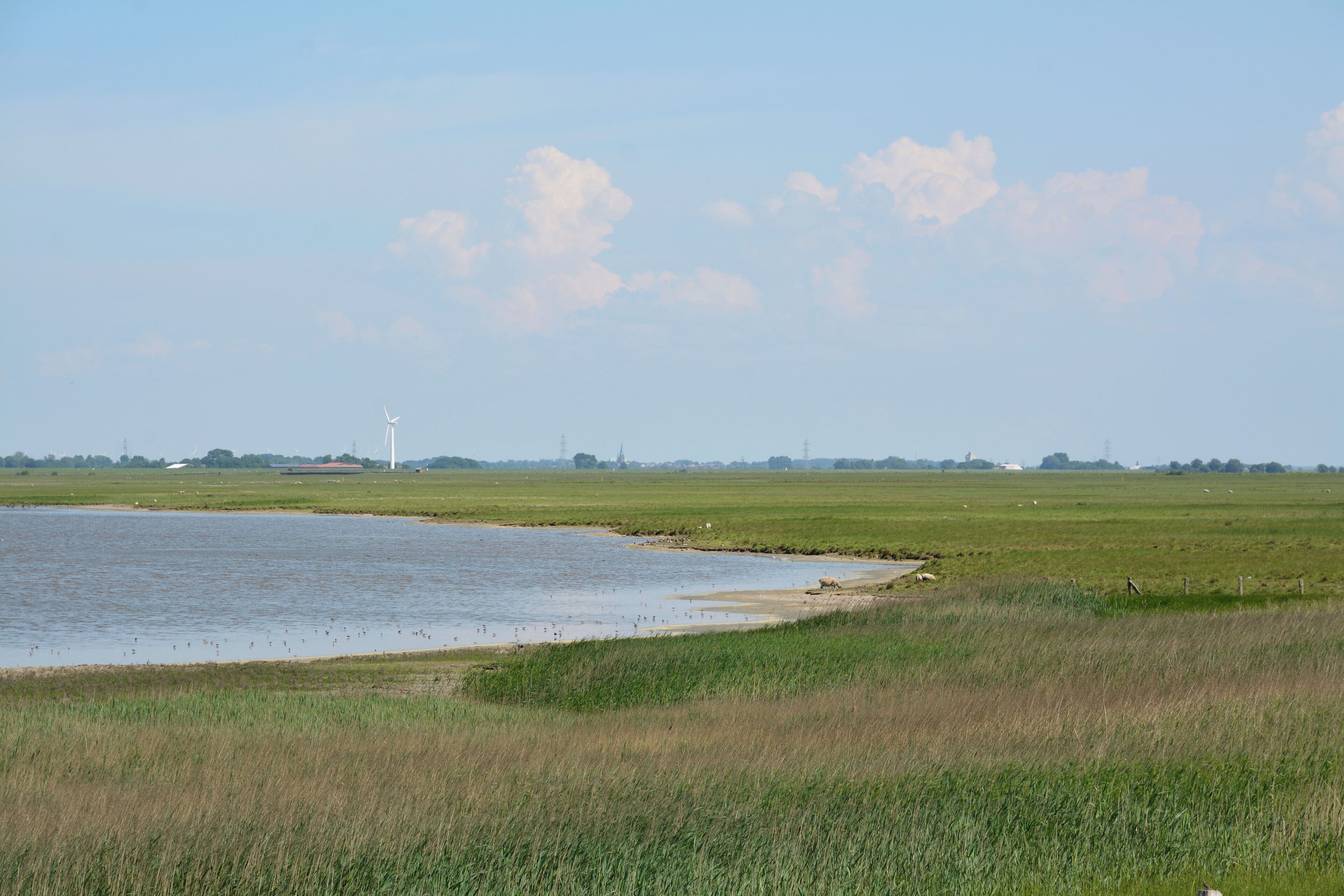 This is a picture of the protected area listed at WDPA under the ID