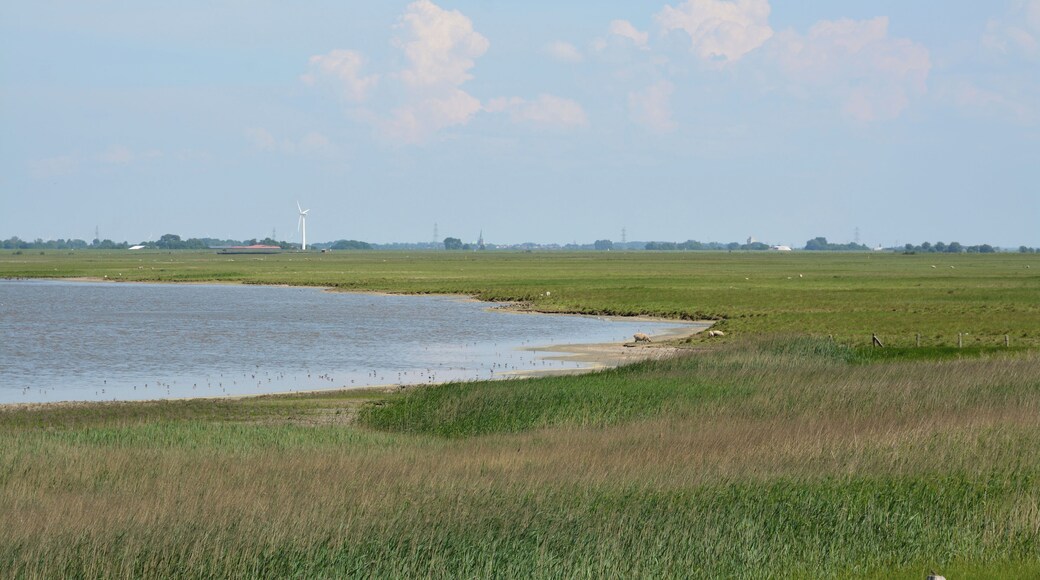 This is a picture of the protected area listed at WDPA under the ID