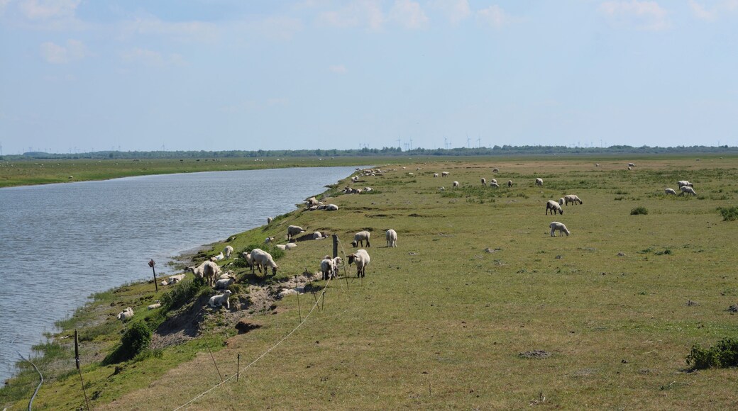 This is a picture of the protected area listed at WDPA under the ID