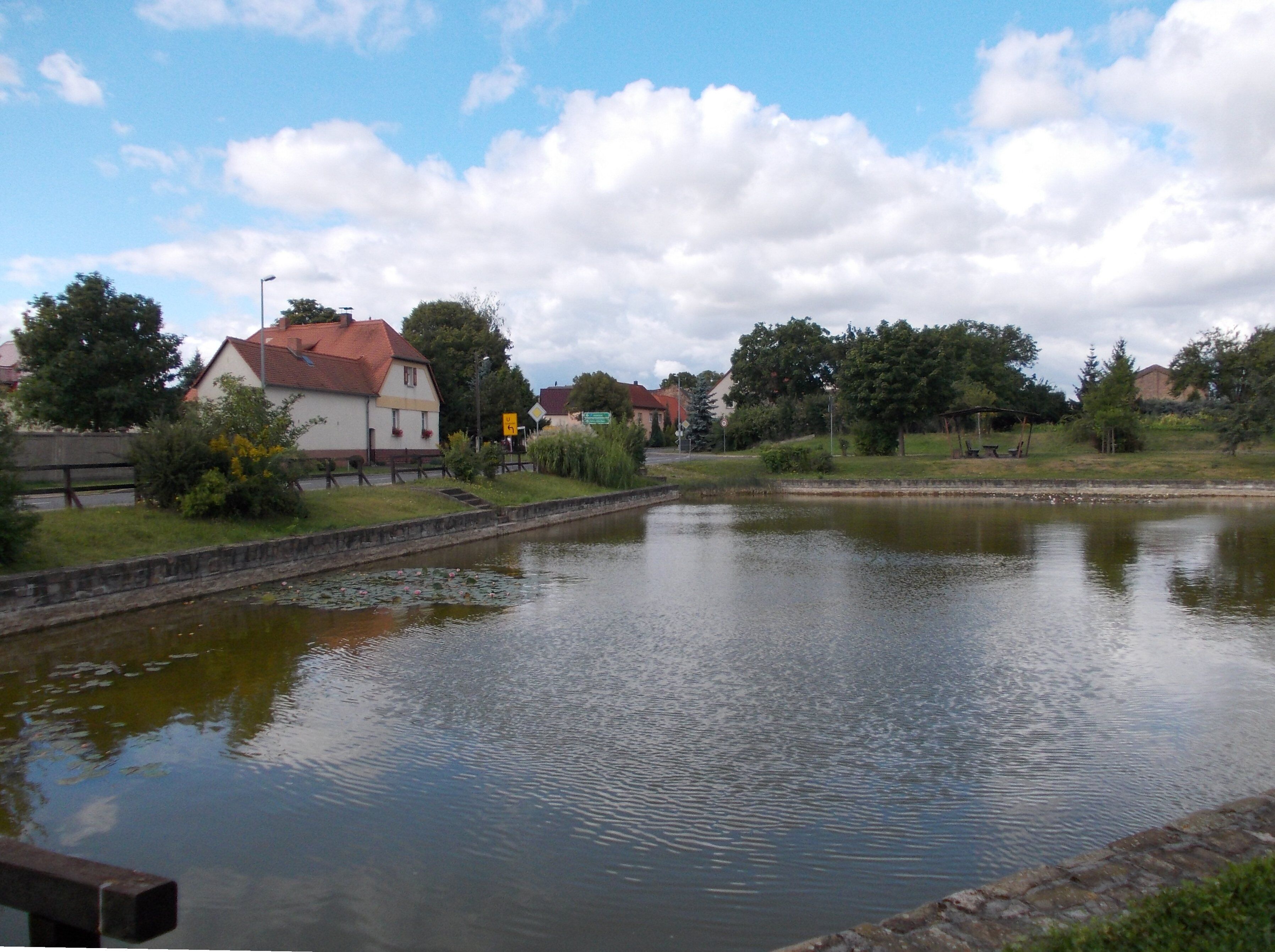 Pond in Oberwünsch (Mücheln/Geiseltal, district of Saalekreis, Saxony-Anhalt)