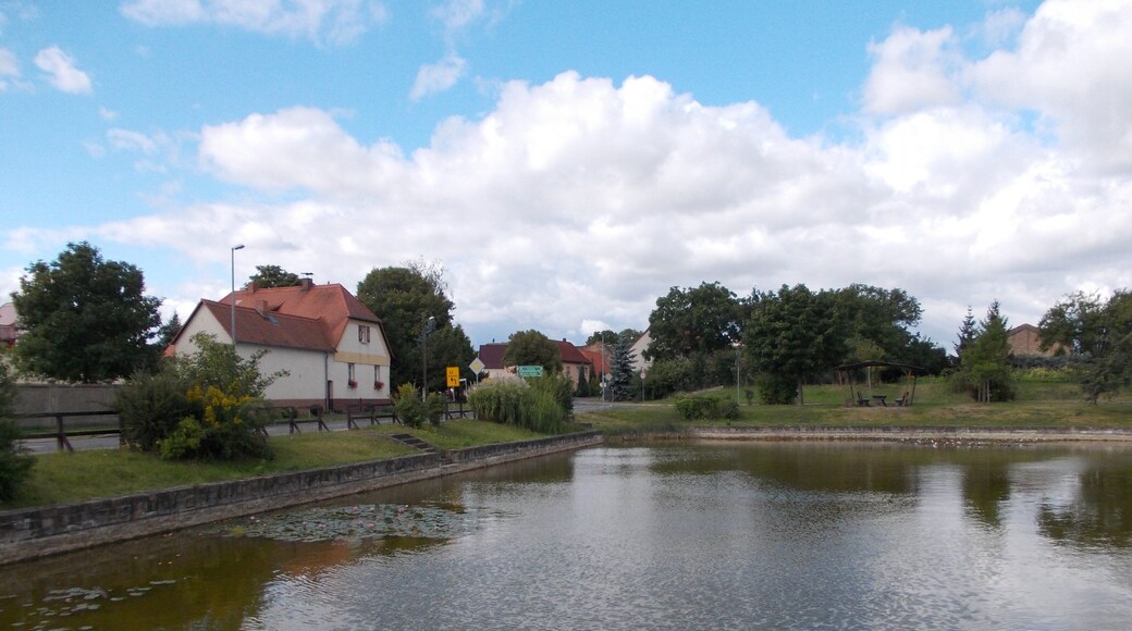 Pond in Oberwünsch (Mücheln/Geiseltal, district of Saalekreis, Saxony-Anhalt)