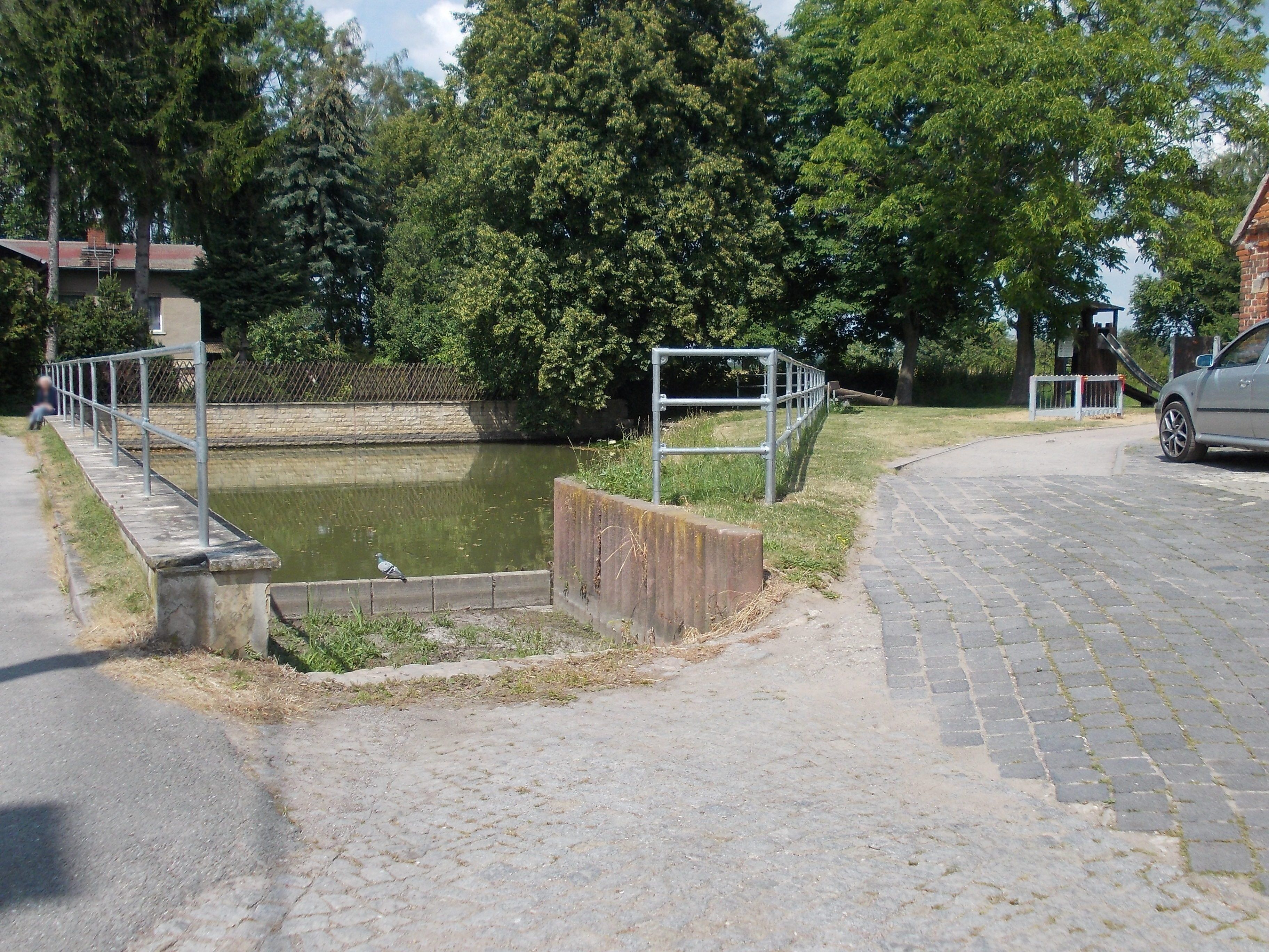 Pond in Almsdorf (Mücheln/Geiseltal, district: Saalekreis, Saxony-Anhalt)