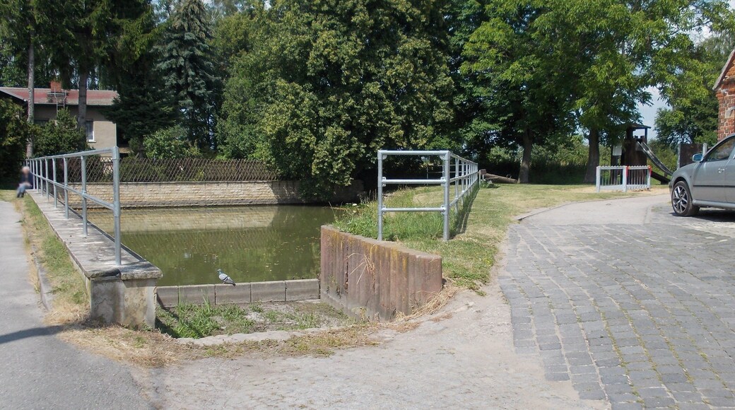 Pond in Almsdorf (Mücheln/Geiseltal, district: Saalekreis, Saxony-Anhalt)