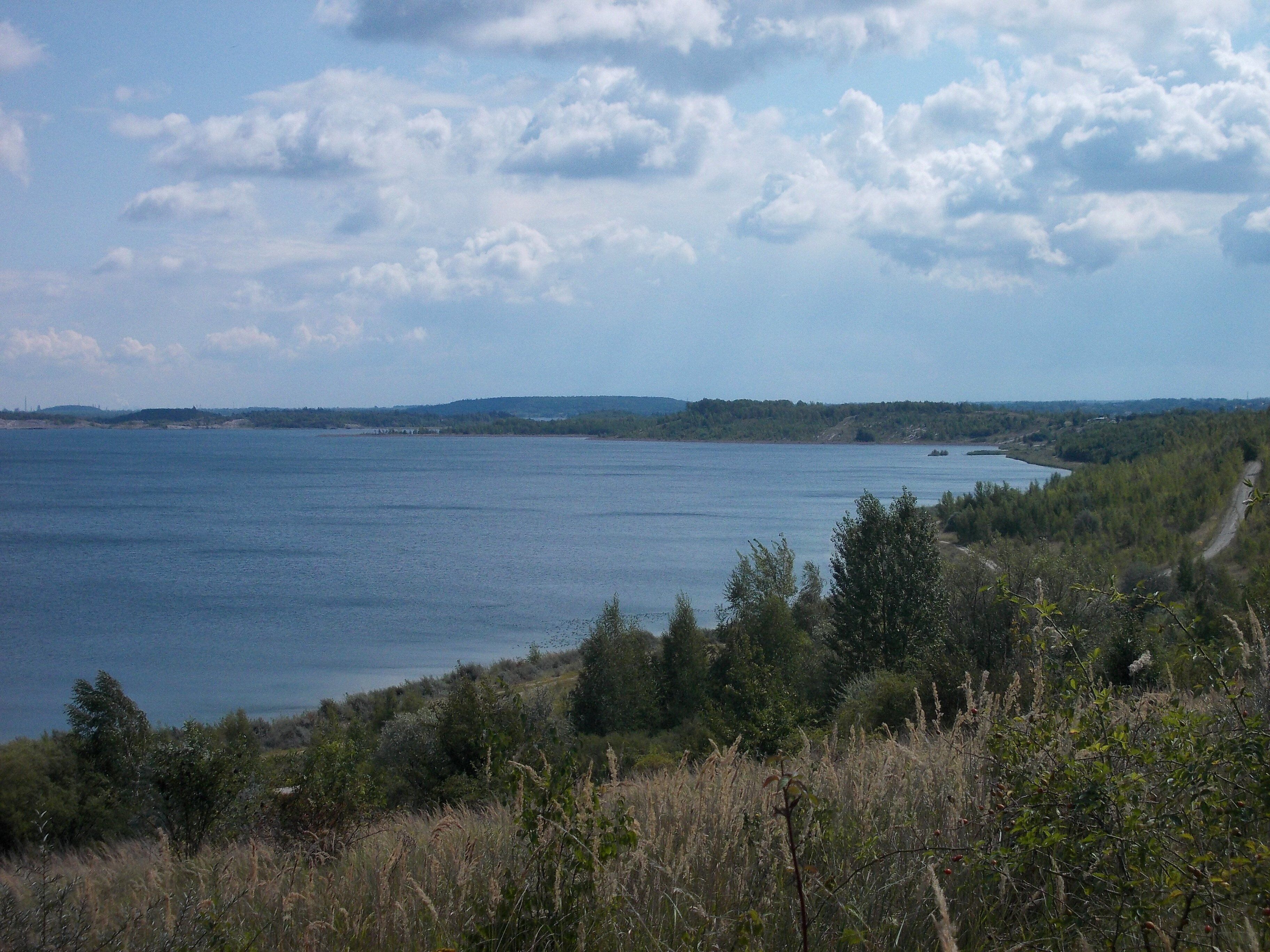North-western part of Geiseltal Lake (district: Saalekreis, Saxony-Anhalt)