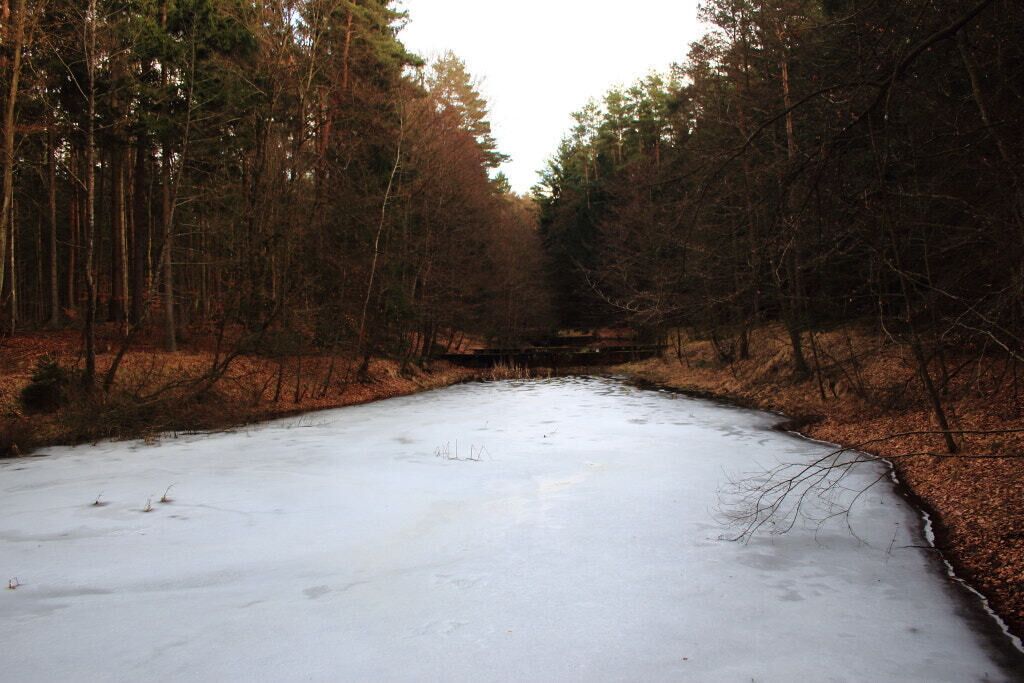 A frozen river surrounded by dense forest.