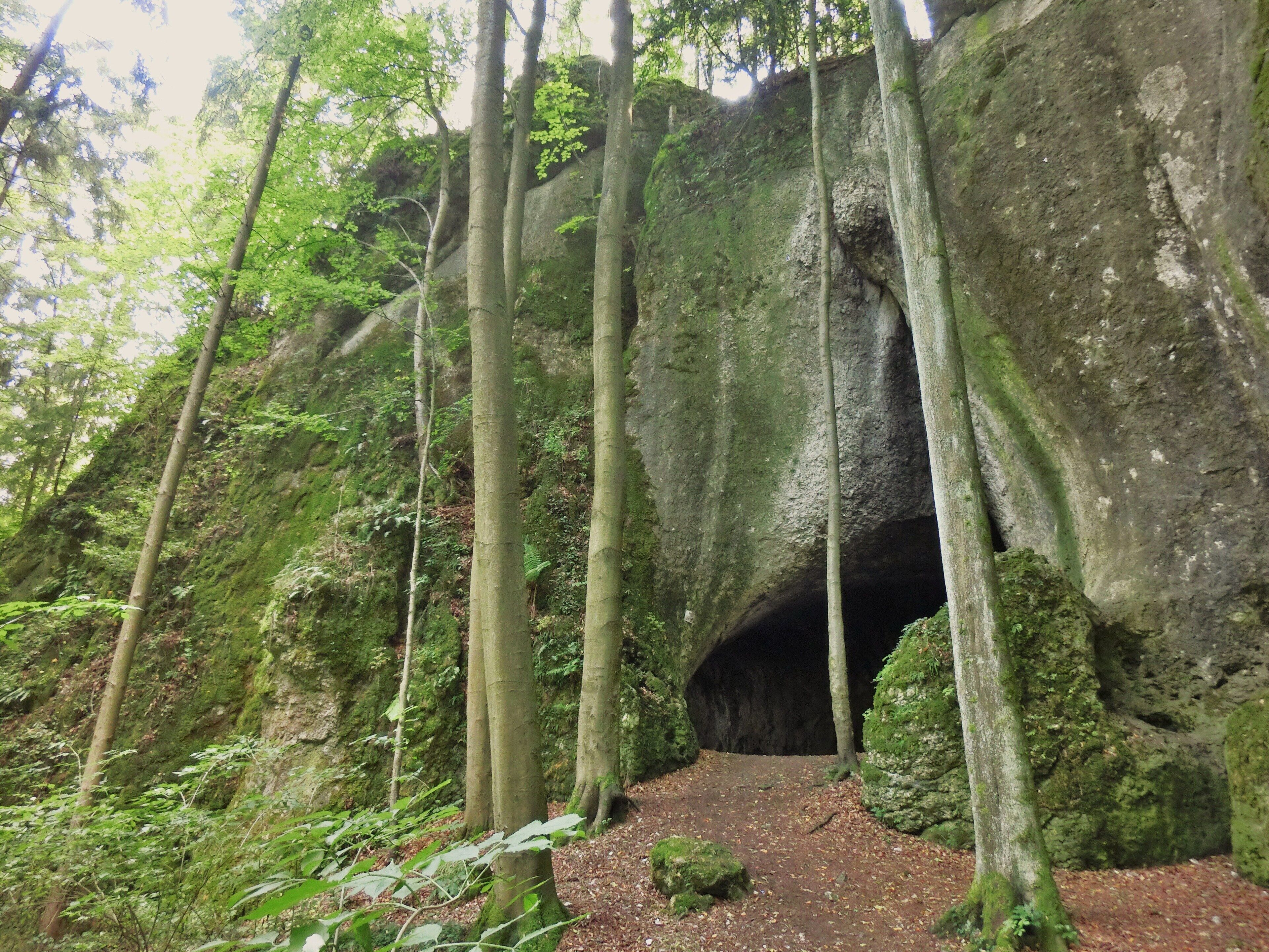 Vogelherdgrotte 2