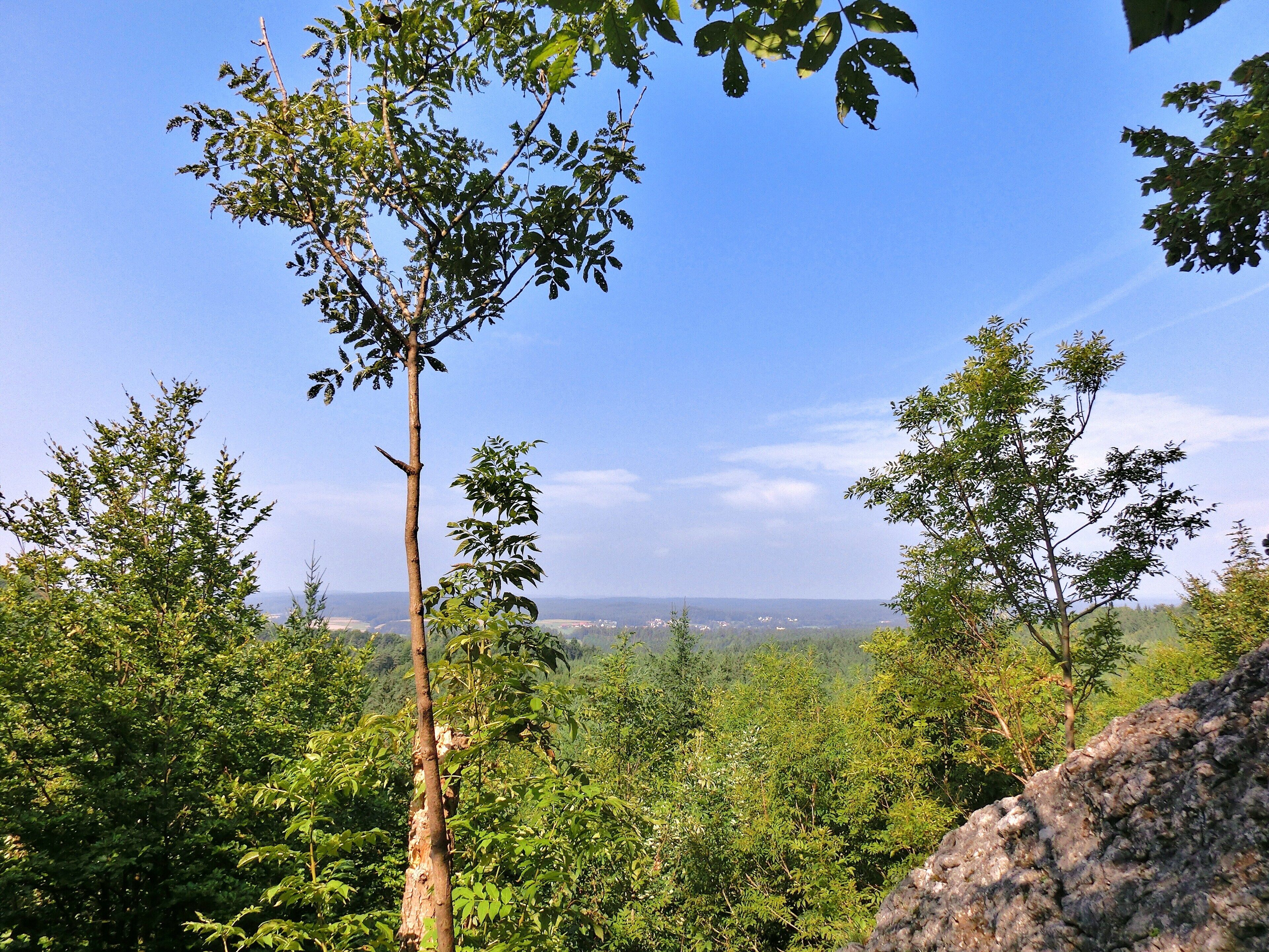 Aussicht von der "Schönen Aussicht"