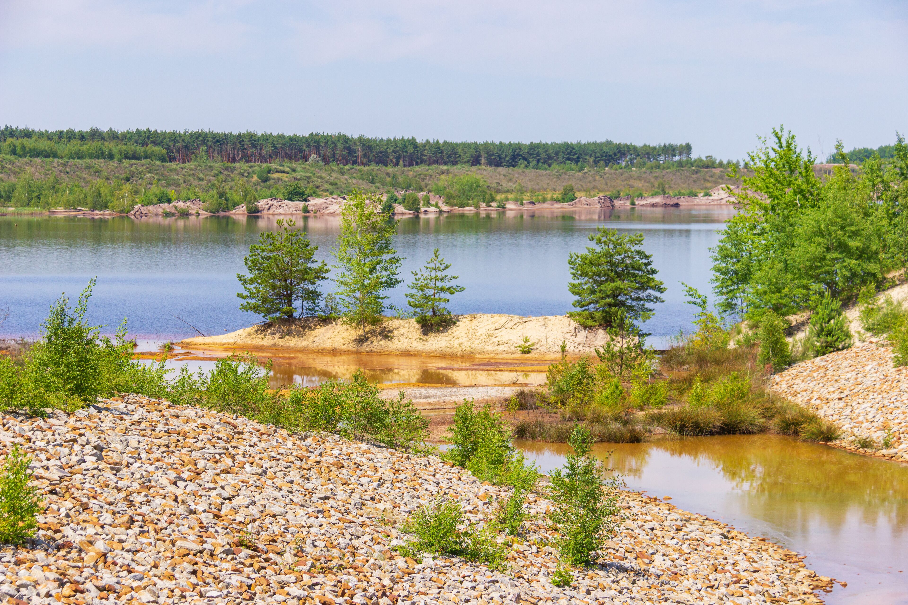 A lake surrounded by pebbles, trees, and a forested hillside.