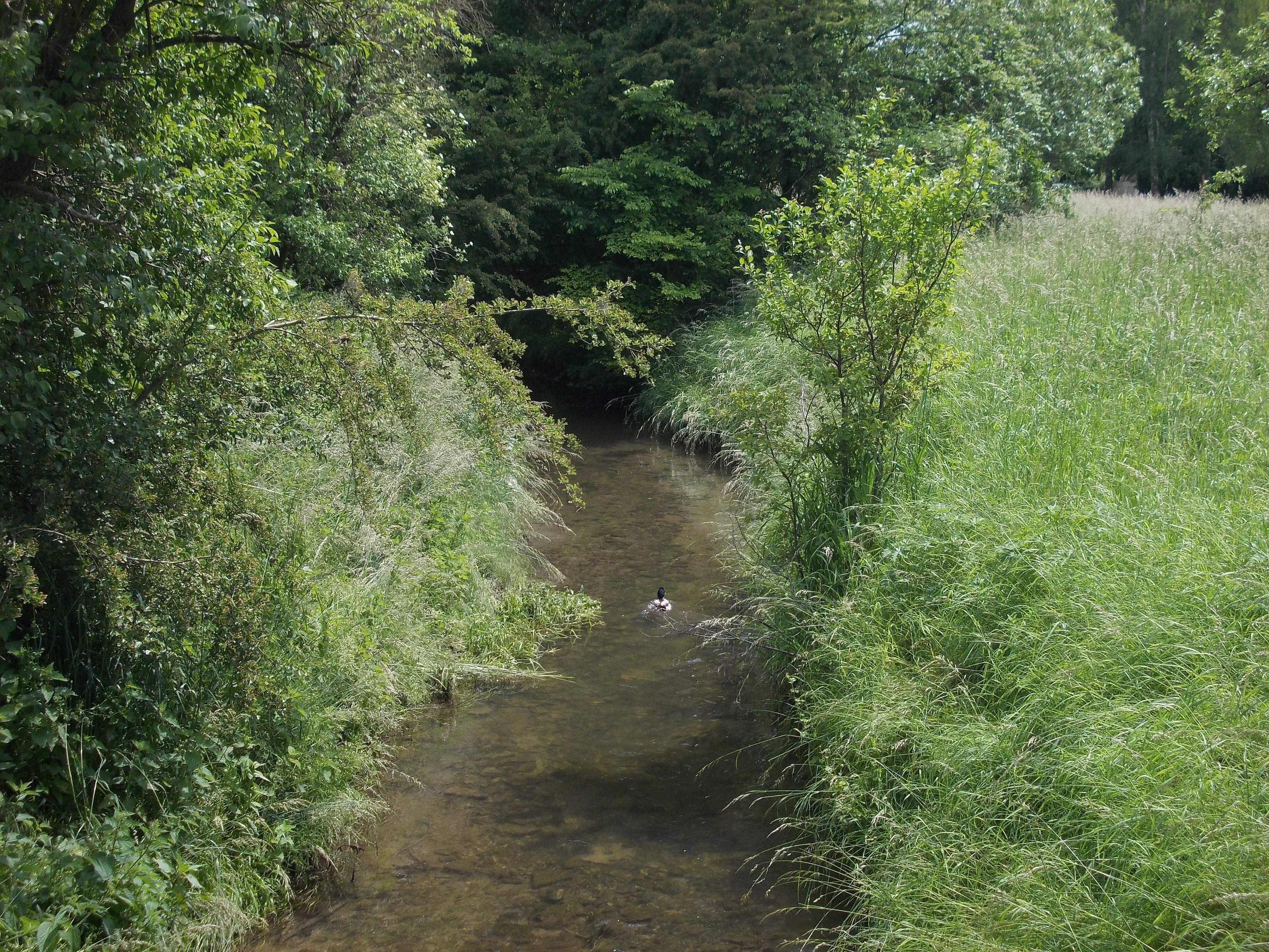 Weida river in Kuckenburg (Obhausen, district: Saalekreis, Saxony-Anhalt)