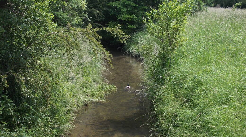 Weida river in Kuckenburg (Obhausen, district: Saalekreis, Saxony-Anhalt)