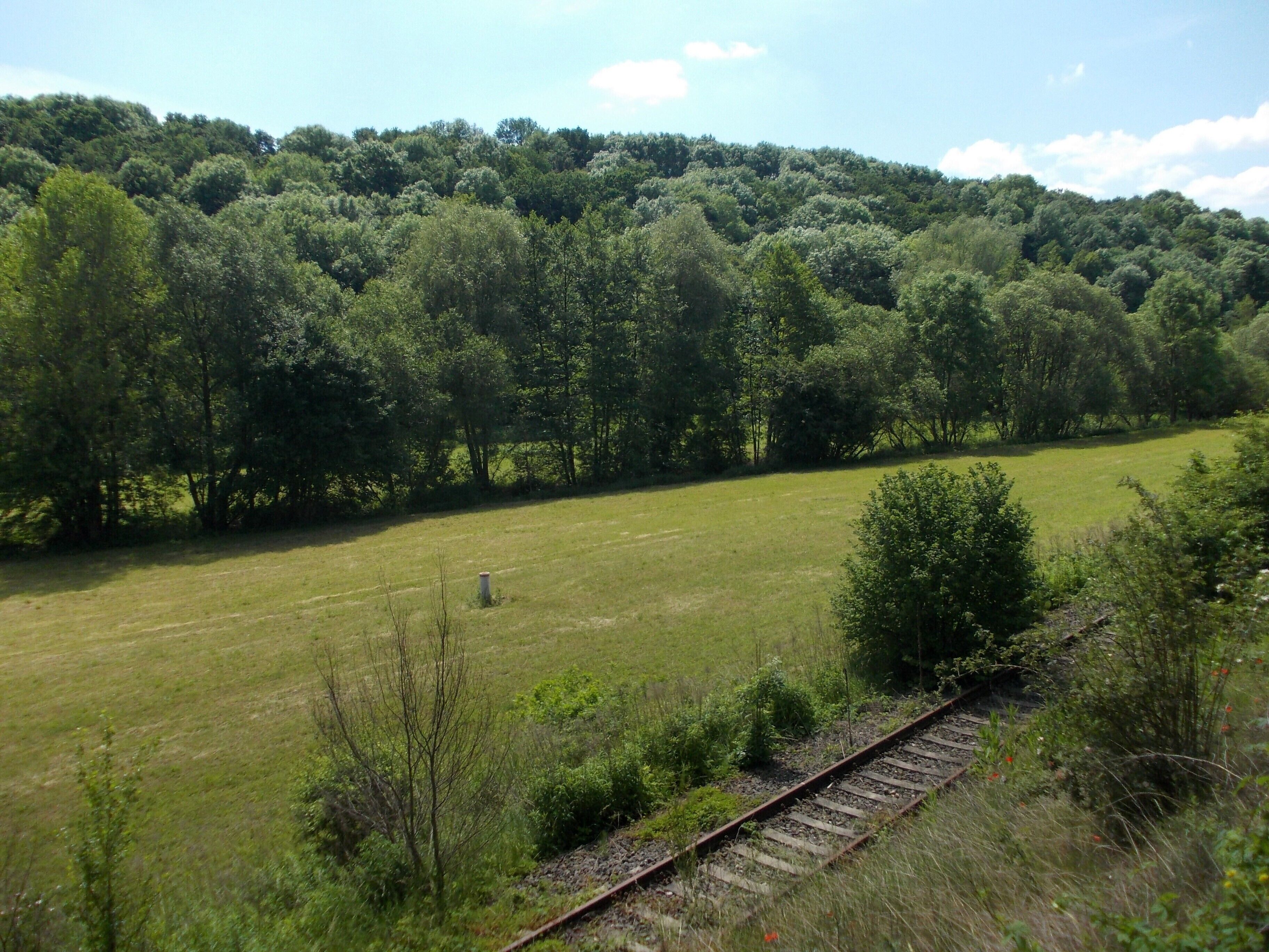 Kuckenburger Hagen nature reserve (Obhausen, district: Saalekreis, Saxony-Anhalt), the rails belong to the former Röblingen-Querfurt railway line