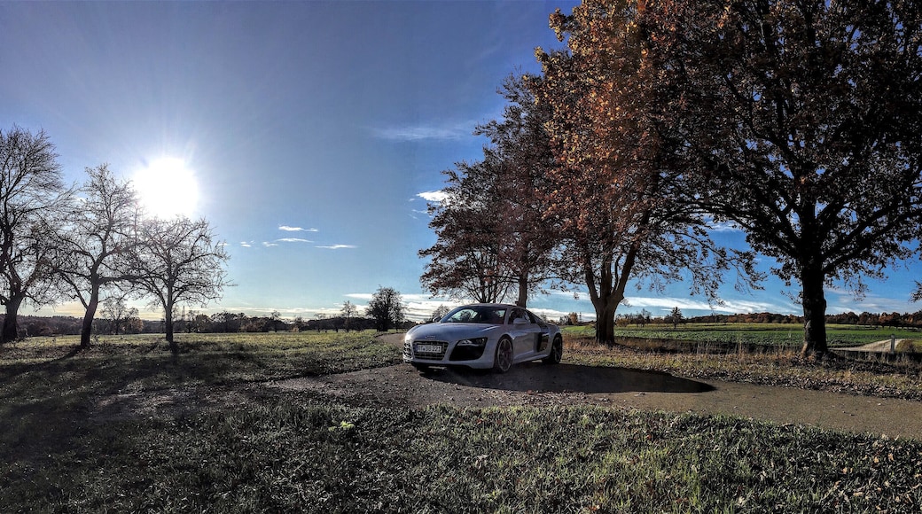 Herbststimmung mit Schneeflöckchen