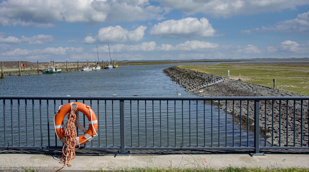 an der Badestelle Everschopsiel bei Tetenbüll,Halbinsel Eiderstedt,Nordsee,Nordfriesland,Schleswig-Holstein,Deutschland