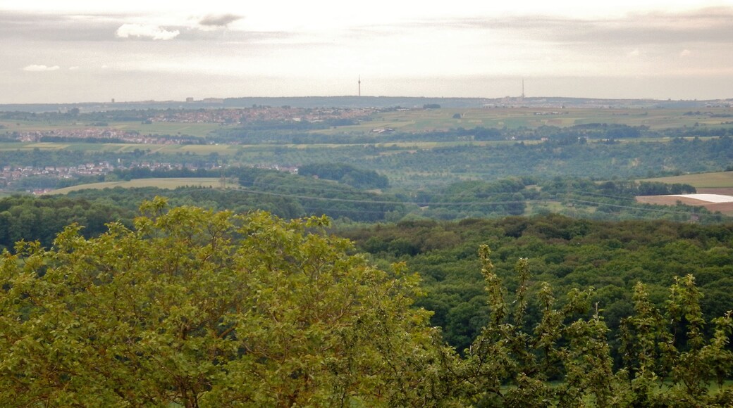 Ausblick vom Grafenberg bis zum Fernsehturm in Stuttgart