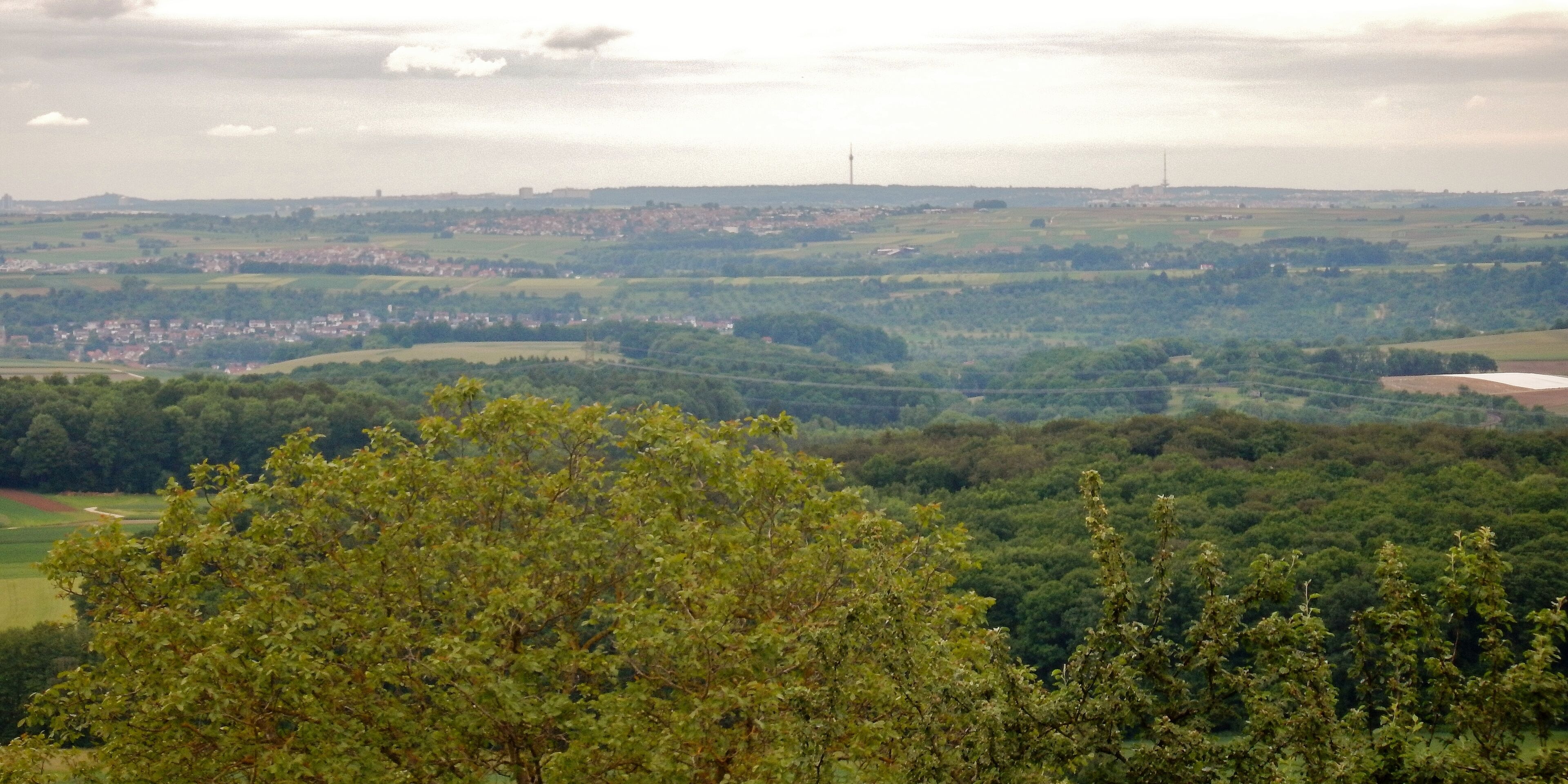 A panoramic view of a lush green landscape with rolling hills, a distant town, and a few wind turbines in the background.