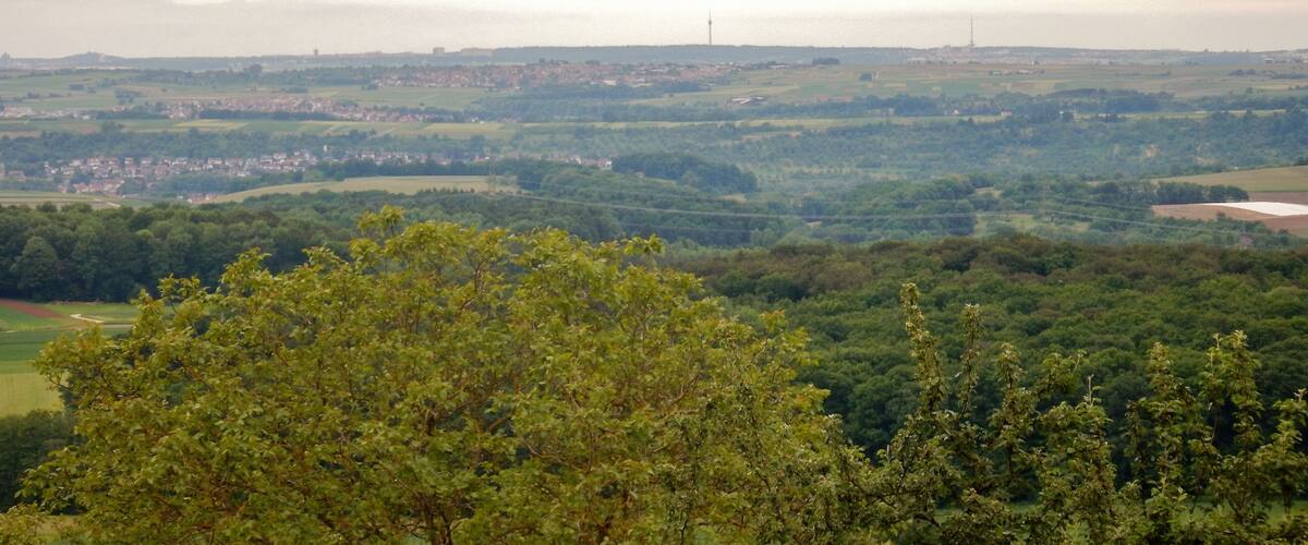 A panoramic view of a lush green landscape with rolling hills, a distant town, and a few wind turbines in the background.