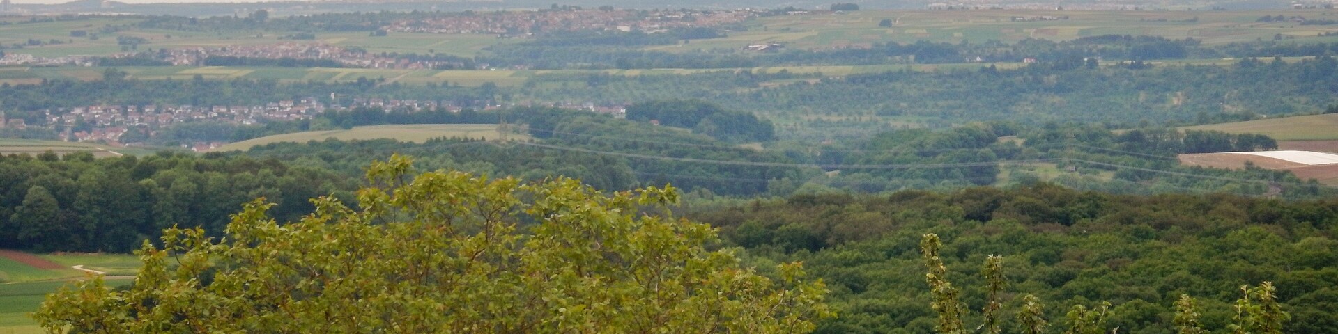 A panoramic view of a lush green landscape with rolling hills, a distant town, and a few wind turbines in the background.