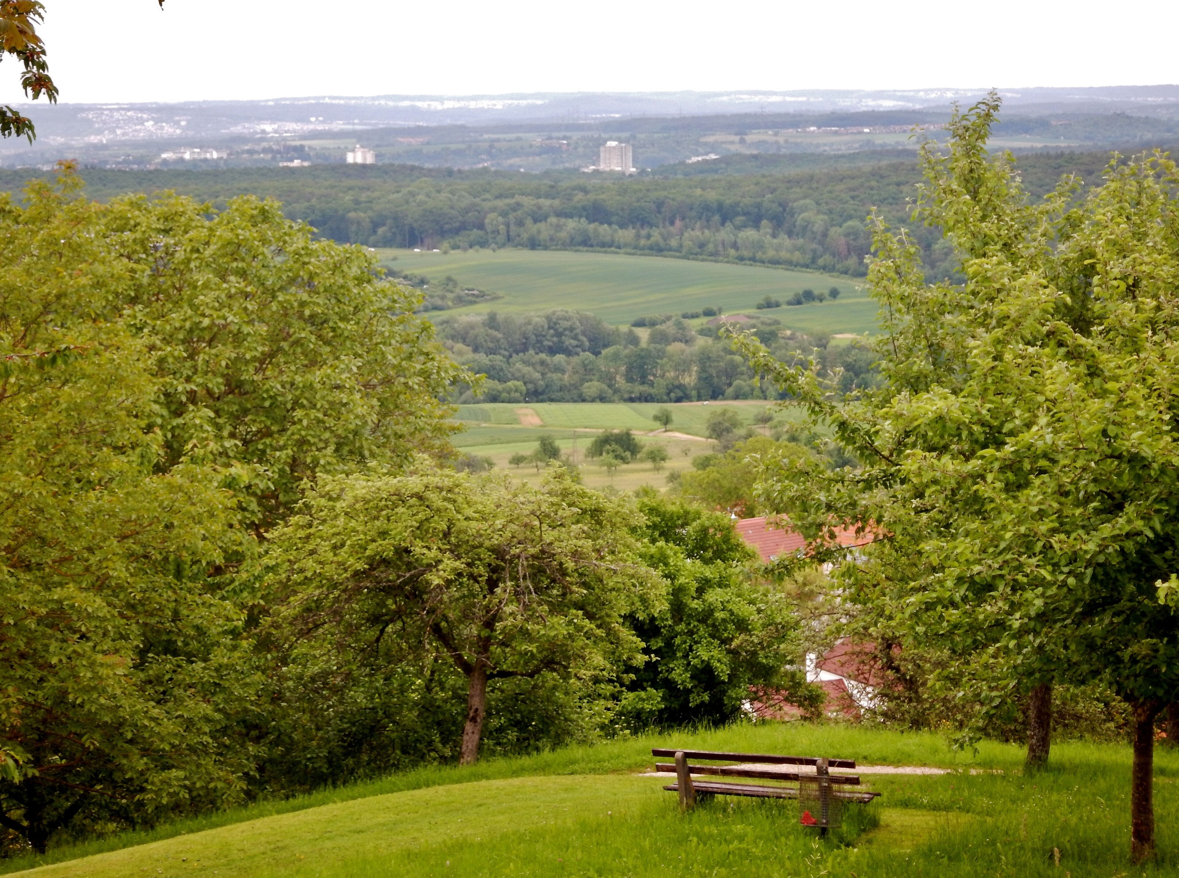 Ausblick vom Grafenberg
