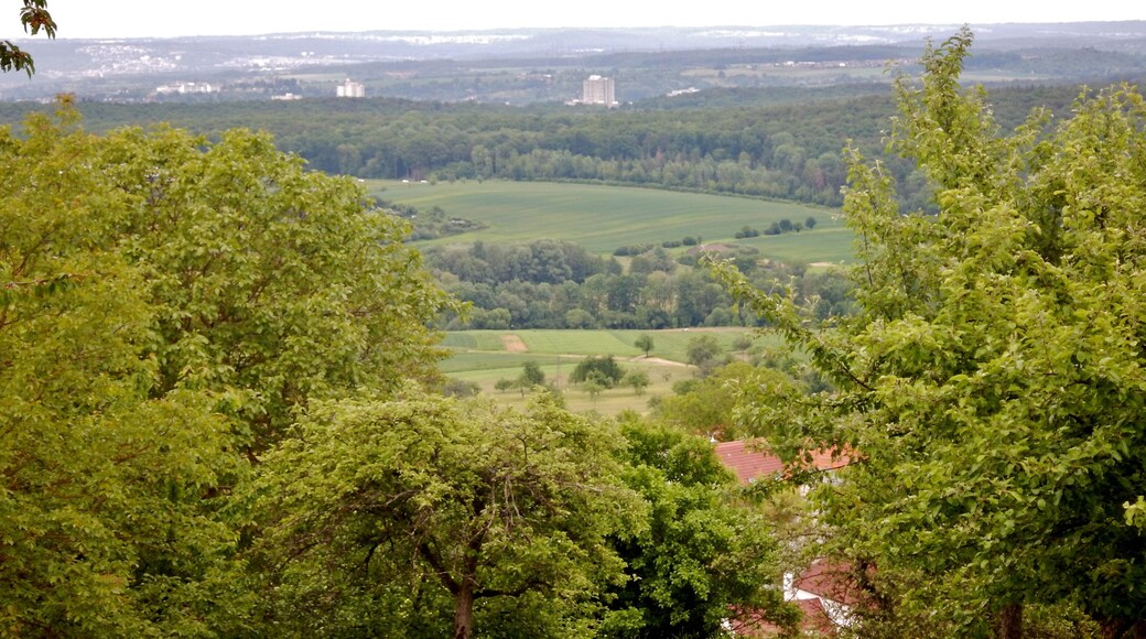 Ausblick vom Grafenberg